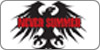 NeverSummer snowboards
