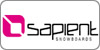 Sapient snowboards